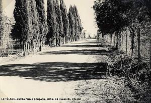 Palica - C- Le Telagh 023